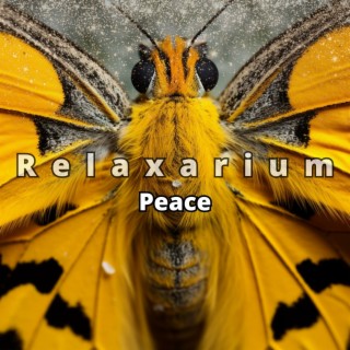 Peace: Relaxing Nature Sounds & Kalimba