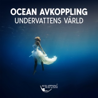 Ocean avkoppling: Undervattens värld