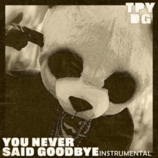 You Never Said Goodbye (Instrumental)