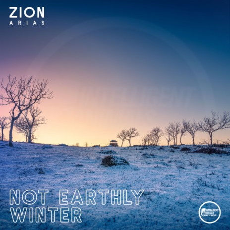 Not Earthly Winter | Boomplay Music