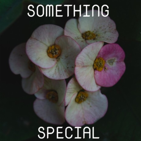 Something Special | Boomplay Music