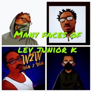 Many Faces of Lev Junior Knowledge