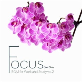 FOCUS "BGM for Work and Study" vol.2