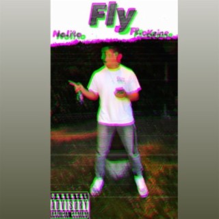 Fly (feat. oKaine)