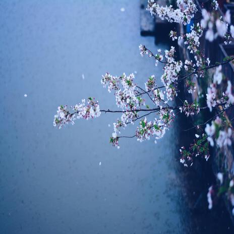 the scent of dandelions | Boomplay Music