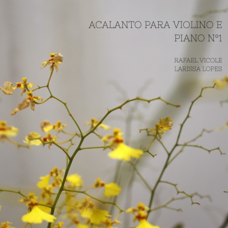 Acalanto para Violino e Piano Nº1 ft. Larissa Lopes | Boomplay Music