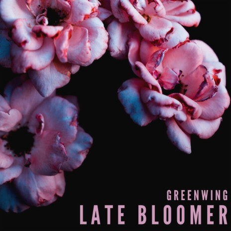 Late Bloomer