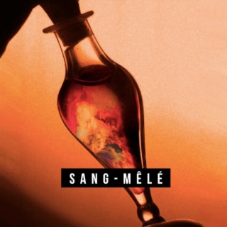 Sang-mêlé lyrics | Boomplay Music