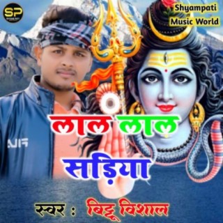 Bittu Vishal