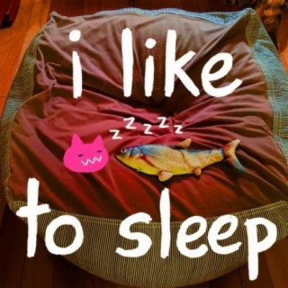 i like to sleep lyrics | Boomplay Music