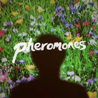pheromones