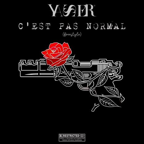 C'est pas normal (freestyle) | Boomplay Music