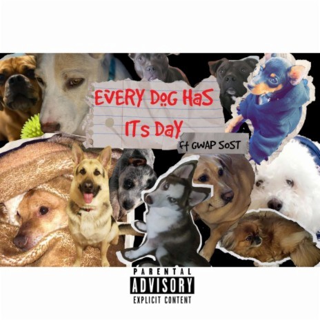 Every dog has its day ft. Gwap sost | Boomplay Music
