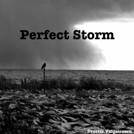 Perfect Storm | Boomplay Music