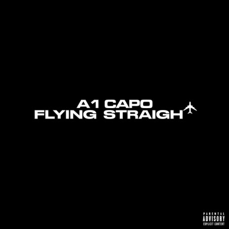 Flying Straight | Boomplay Music