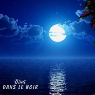 Dans le noir lyrics | Boomplay Music