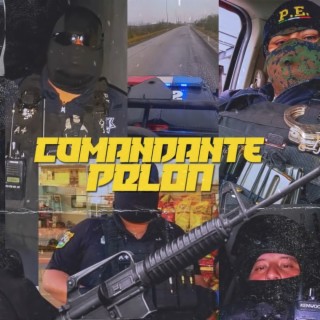 Comandante pelon v1