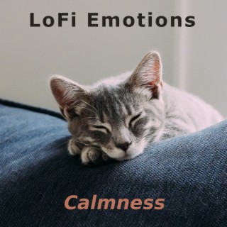 LoFi Emotions - Calmness