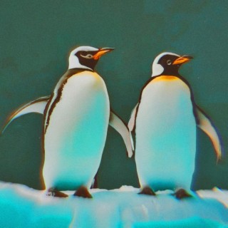 Penguins At The Aquarium lyrics | Boomplay Music