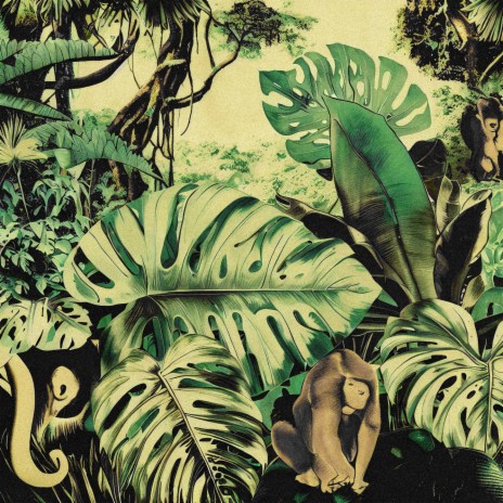 monstera religiosa | Boomplay Music