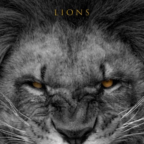 Lions | Boomplay Music