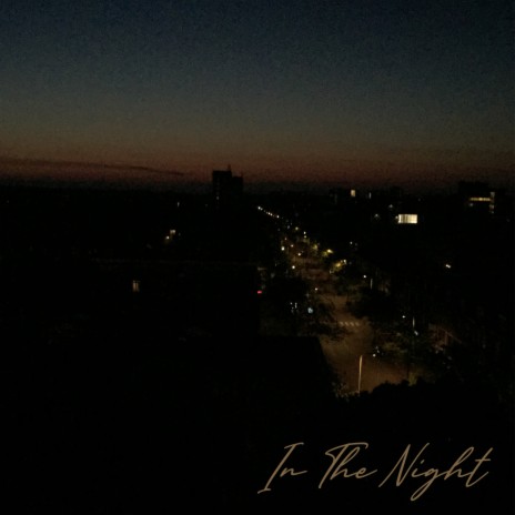 In The Night | Boomplay Music