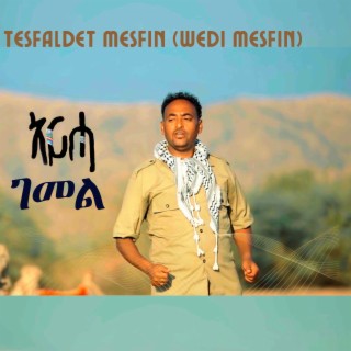 Arha Gemel Tesfaldet Mesfin