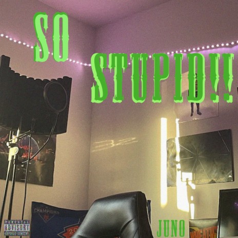 SO STUPID | Boomplay Music