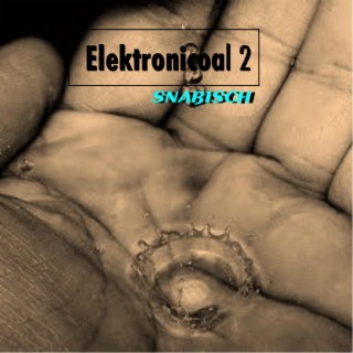 Elektronicoal 2