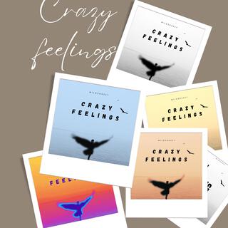 CrAzY fEeLiNgS