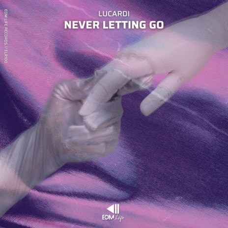 Never Letting Go | Boomplay Music