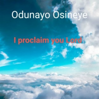 Odunayo Osineye