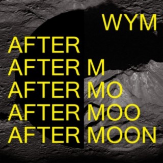 윔 WYM