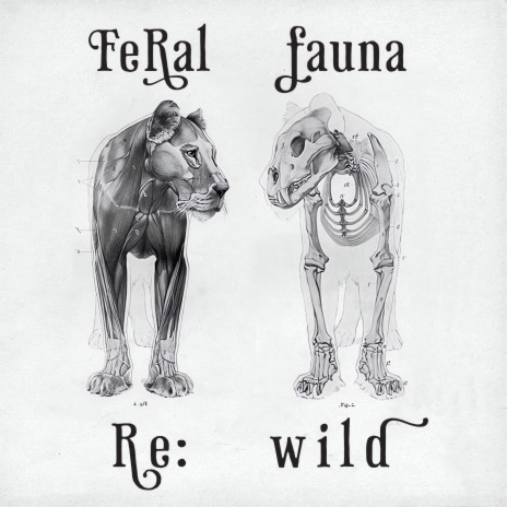 Feral Nation ft. Heather Christie & feral fauna