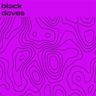black doves