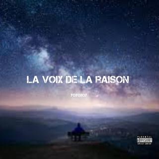 LA VOIX DE LA RAISON lyrics | Boomplay Music