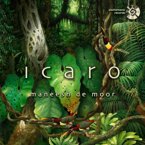 Icaro of the River Dolphin | Boomplay Music