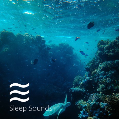 White noise sleep routine