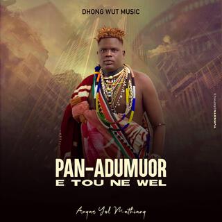 Pan Adumuor E Tou Ne Wel