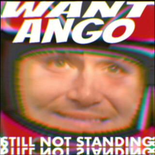 Still Not Standing