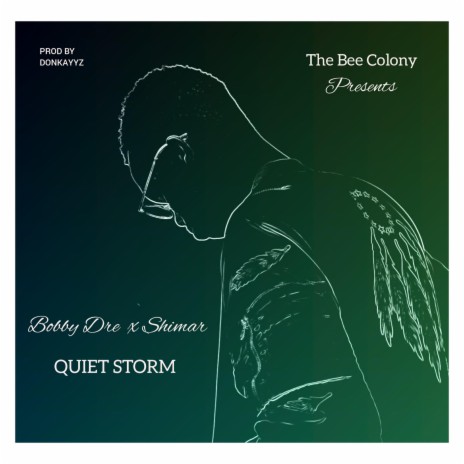 Quiet Storm (feat. Shimar) | Boomplay Music