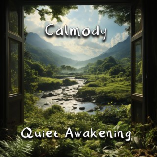 Quiet Awakening