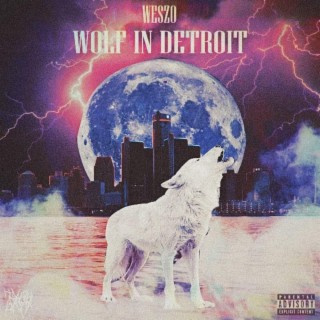 Wolf In Detroit