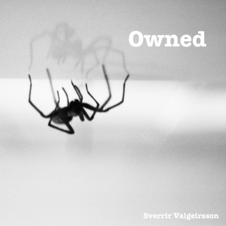 Owned | Boomplay Music