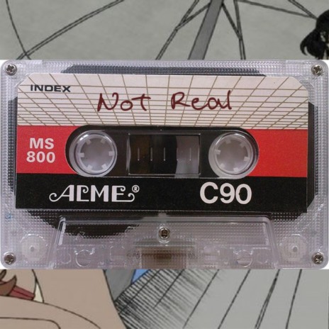 Not Real | Boomplay Music