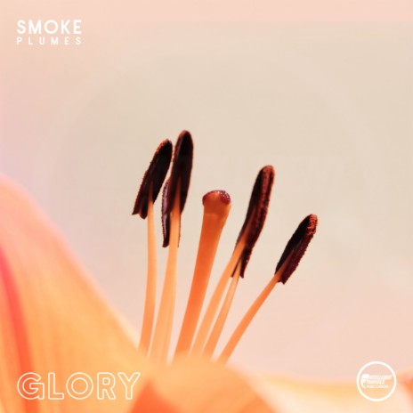 Glory | Boomplay Music