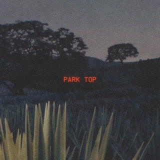 Park Top