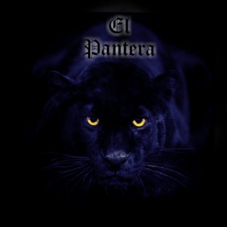 El Pantera | Boomplay Music