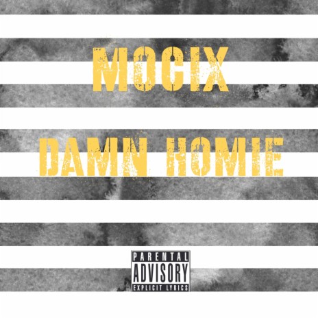 Damn Homie | Boomplay Music