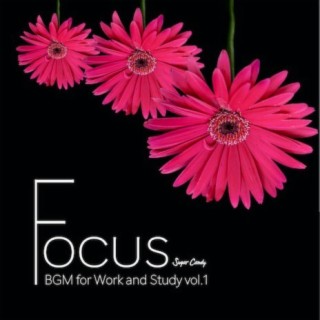 FOCUS "BGM for Work and Study" vol.1